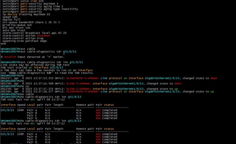 switch config